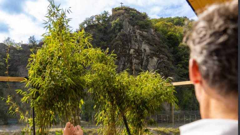 Blick auf die Felsenlandschaft im Ahrtal bei Altenahr in der Natur