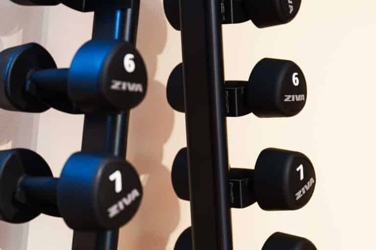 Hanteln im Fitnessraum des Hotel Ruland Altenahr
